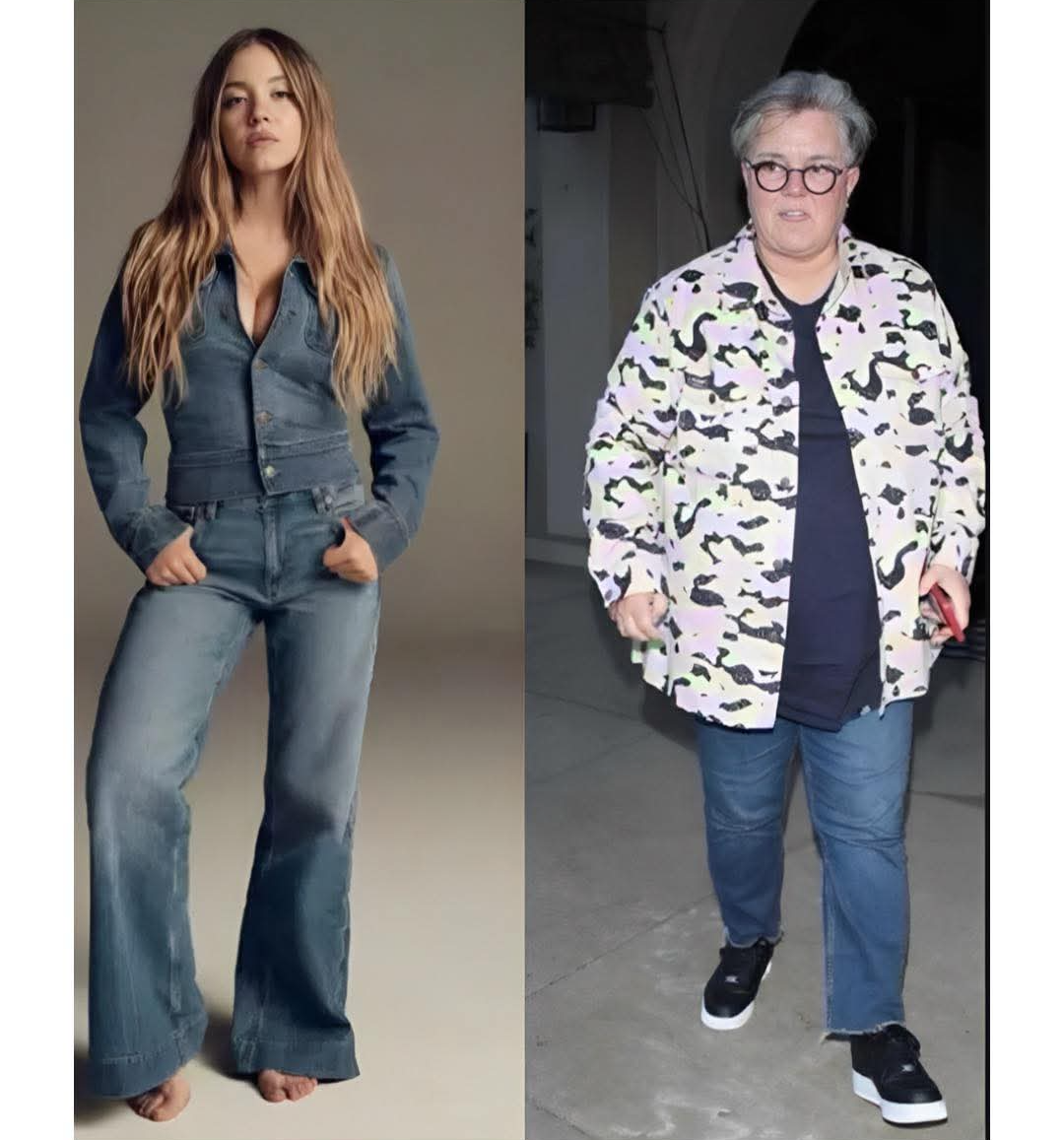 Sydney Sweeney Vs Rosie O'Donnell Meme Template Free Memes Templates
